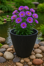 Charger l'image dans la galerie, 26cm Chelsea black coloured flower pot - Marissa's Garden & Gift
