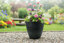 Load image into Gallery viewer, 27cm Buckingham dark grey coloured flower pot - Marissa's Garden & Gift