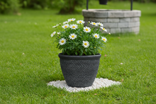 Afbeelding in Gallery-weergave laden, Wentworth black and silver coloured flower pot