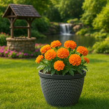 Load image into Gallery viewer, Wentworth black and white coloured flower pot - Marissa's Garden & Gift