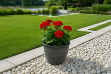 Load image into Gallery viewer, Wentworth black and white coloured flower pot - Marissa's Garden & Gift