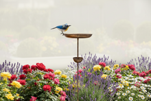 Laden Sie das Bild in den Galerie-Viewer, Handmade Blue tit bronze powder coated bird feeder for garden/outdoor