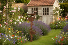 Load image into Gallery viewer, Bronze Robin heart bird feeder for garden/outdoor space