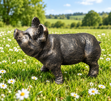 Load image into Gallery viewer, Gold with black brush pig garden ornament polyresin 36cm high - Marissa's Garden & Gift