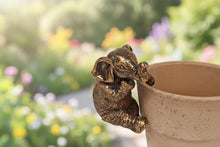 Load image into Gallery viewer, Polyresin pair of bronze coloured elephant pot hangers - Marissa's Garden & Gift