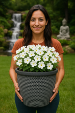 Laden Sie das Bild in den Galerie-Viewer, Wentworth black and white coloured flower pot - Marissa's Garden & Gift