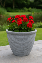 Laden Sie das Bild in den Galerie-Viewer, 26cm Chatsworth grey embossed pot - Marissa's Garden & Gift