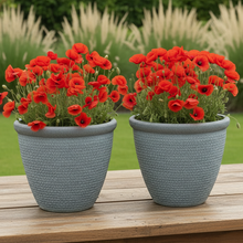 Laden Sie das Bild in den Galerie-Viewer, 26cm Chatsworth grey embossed pot x 2 pots - Marissa's Garden & Gift