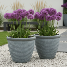 Laden Sie das Bild in den Galerie-Viewer, 26cm Chatsworth grey embossed pot x 2 pots - Marissa's Garden & Gift