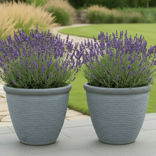 Laden Sie das Bild in den Galerie-Viewer, 26cm Chatsworth grey embossed pot x 2 pots - Marissa's Garden & Gift