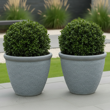 Laden Sie das Bild in den Galerie-Viewer, 26cm Chatsworth grey embossed pot x 2 pots - Marissa's Garden & Gift