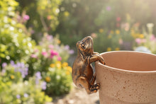 Charger l'image dans la galerie, Polyresin pair of bronze coloured frog pot hangers