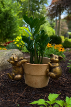 Load image into Gallery viewer, Polyresin pair of bronze coloured pigs pot hangers - Marissa's Garden & Gift