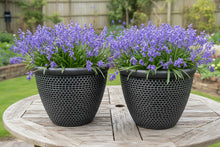 Laden Sie das Bild in den Galerie-Viewer, Wentworth black and silver coloured flower pot x 2 pots - Marissa's Garden & Gift