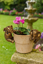 Load image into Gallery viewer, Polyresin pair of bronze coloured elephant pot hangers - Marissa's Garden & Gift