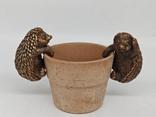 Load image into Gallery viewer, Polyresin pair of bronze coloured hedgehog pot hangers - Marissa's Garden & Gift
