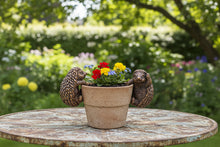 Laden Sie das Bild in den Galerie-Viewer, Polyresin pair of bronze coloured hedgehog pot hangers