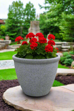 Laden Sie das Bild in den Galerie-Viewer, 26cm Chatsworth grey embossed pot - Marissa's Garden & Gift