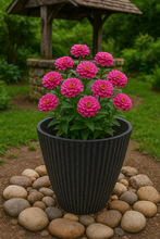 Load image into Gallery viewer, 26cm Chelsea black coloured flower pot - Marissa's Garden & Gift