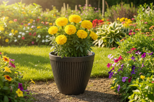 Load image into Gallery viewer, 26cm Chelsea black coloured flower pot