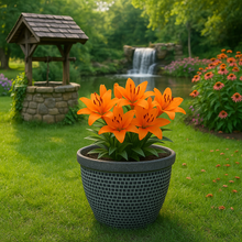 Laden Sie das Bild in den Galerie-Viewer, Wentworth black and white coloured flower pot - Marissa's Garden & Gift