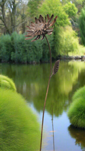 Load image into Gallery viewer, Handmade rusty garden/outdoor metal Amaranthus flower 120cm garden sculpture - Marissa's Garden & Gift