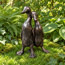 Afbeelding in Gallery-weergave laden, New Bronze ducks pair ornament amongst lush green ferns and hostas