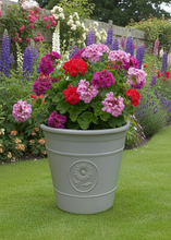 Load image into Gallery viewer, Sunflower coloured grey flower pot available in two sizes made out of recycled plastic