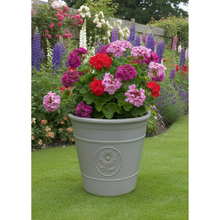 Charger l'image dans la galerie, Sunflower coloured grey flower pot available in two sizes made out of recycled plastic - Marissa's Garden & Gift