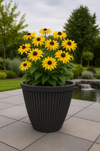 Load image into Gallery viewer, 26cm Chelsea black coloured flower pot - Marissa's Garden & Gift
