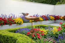 Laden Sie das Bild in den Galerie-Viewer, Robin bird feeder bronze powder coated for garden/outdoor space