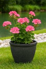 Laden Sie das Bild in den Galerie-Viewer, Wentworth black and silver coloured flower pot - Marissa's Garden & Gift