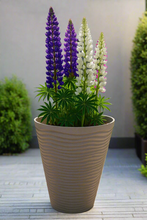 Charger l'image dans la galerie, 55cm Piccadilly white coloured flower pot - Marissa's Garden & Gift
