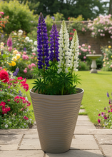 Load image into Gallery viewer, 55cm Piccadilly white coloured flower pot
