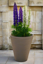 Load image into Gallery viewer, 55cm Piccadilly white coloured flower pot - Marissa's Garden & Gift