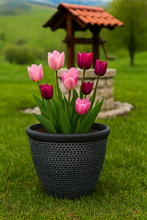 Laden Sie das Bild in den Galerie-Viewer, Wentworth black and silver coloured flower pot - Marissa's Garden & Gift