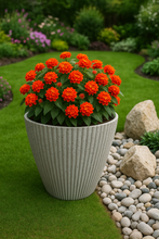 Charger l'image dans la galerie, 30cm Hampton white coloured flower pot - Marissa's Garden & Gift