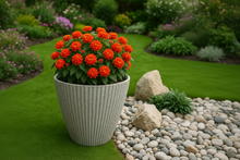 Load image into Gallery viewer, 30cm Hampton white coloured flower pot