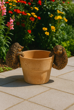 Laden Sie das Bild in den Galerie-Viewer, Polyresin pair of bronze coloured hedgehog pot hangers - Marissa's Garden & Gift