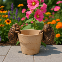 Load image into Gallery viewer, Polyresin pair of bronze coloured hedgehog pot hangers - Marissa's Garden & Gift