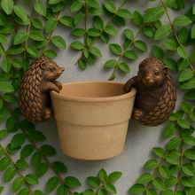 Load image into Gallery viewer, Polyresin pair of bronze coloured hedgehog pot hangers - Marissa's Garden & Gift