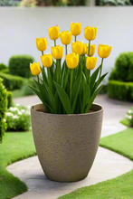 Charger l'image dans la galerie, 27cm Buckingham sand coloured flower pot - Marissa's Garden & Gift