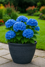 Afbeelding in Gallery-weergave laden, Wentworth black and silver coloured flower pot - Marissa's Garden & Gift