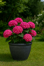 Laden Sie das Bild in den Galerie-Viewer, Wentworth black and silver coloured flower pot - Marissa's Garden & Gift