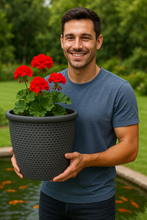 Laden Sie das Bild in den Galerie-Viewer, Wentworth black and silver coloured flower pot - Marissa's Garden & Gift