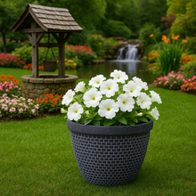Load image into Gallery viewer, Wentworth black and white coloured flower pot - Marissa's Garden & Gift