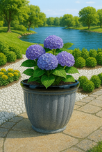 Afbeelding in Gallery-weergave laden, Badminton grey pot planter - Marissa's Garden & Gift