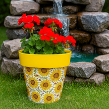 Load image into Gallery viewer, Sunflowers pot full of sunflowers height 26cm - Marissa's Garden & Gift