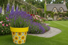 Load image into Gallery viewer, Sunflowers pot full of sunflowers height 26cm - Marissa's Garden & Gift