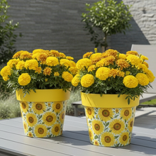 Load image into Gallery viewer, Sunflowers pot full of sunflowers height 26cm x 2 - Marissa's Garden & Gift